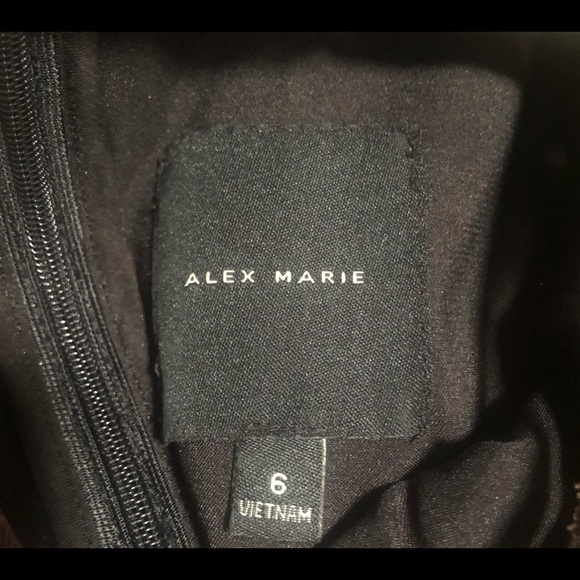 Alex Marie Sarah Embroidered Floral Print Hi-Low A-Line Midi Holiday Dress Sz 6 - Picture 6 of 13